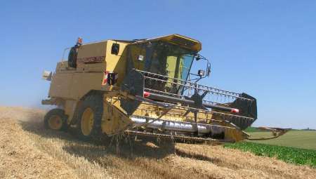 صورة مصغّرة