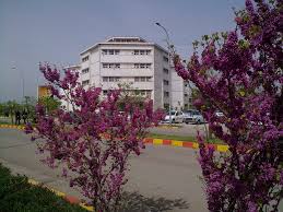 صورة مصغّرة